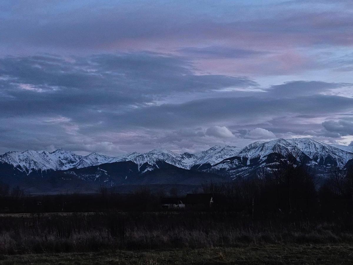 Casute In Mijlocul Naturii - Wild Camp Avrig Exteriér fotografie