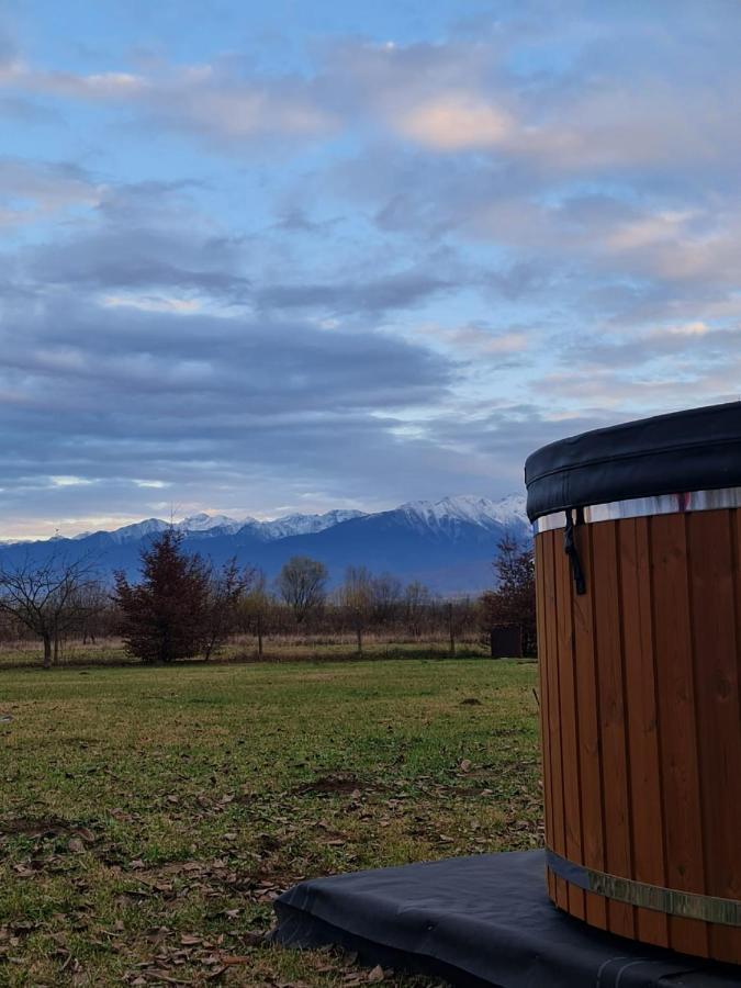 Casute In Mijlocul Naturii - Wild Camp Avrig Exteriér fotografie
