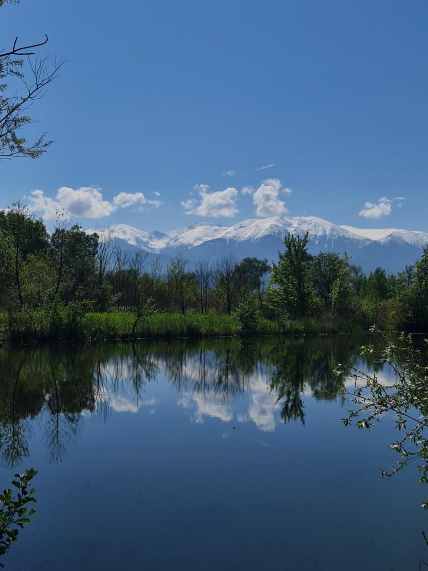 Casute In Mijlocul Naturii - Wild Camp Avrig Exteriér fotografie
