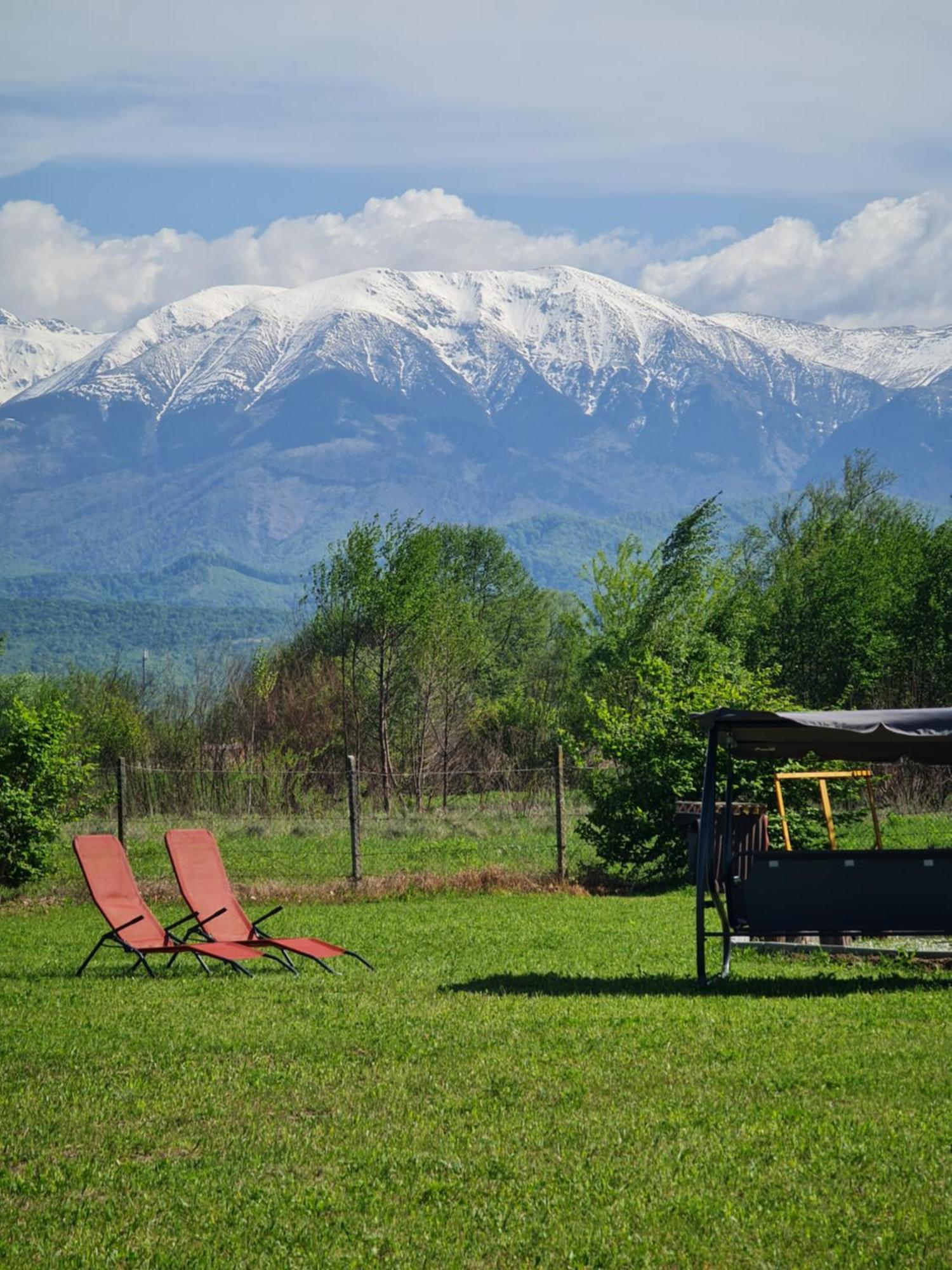 Casute In Mijlocul Naturii - Wild Camp Avrig Exteriér fotografie