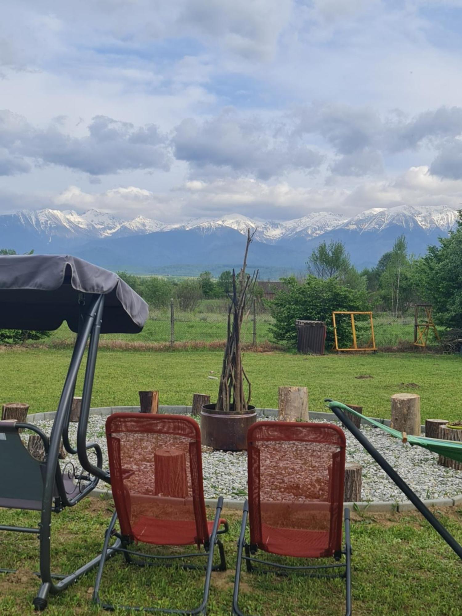 Casute In Mijlocul Naturii - Wild Camp Avrig Exteriér fotografie