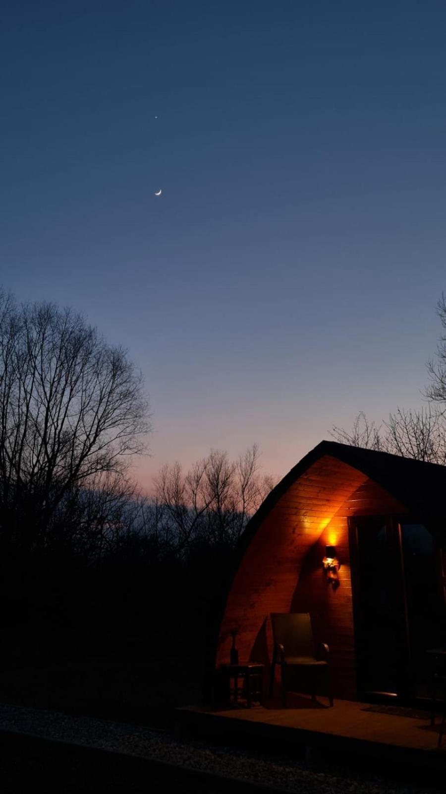 Casute In Mijlocul Naturii - Wild Camp Avrig Exteriér fotografie